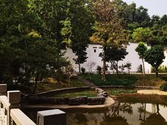 -深圳国际园林花卉博览园