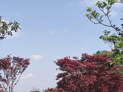 -铜锣山矿山公园