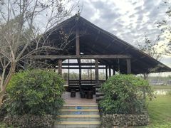 -芒洲湿地公园