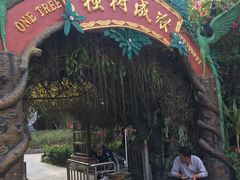 -瑞丽独树成林风景区