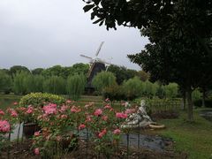 -上海鲜花港