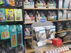 -欧奕国际动物医院