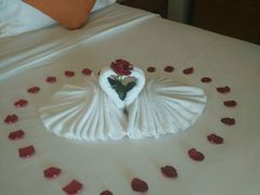 android_upload_pic-三亚湾红树林度假世界(木棉酒店)