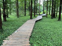 -国家植物园南园