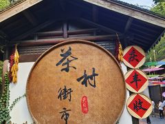 -天目湖山水园