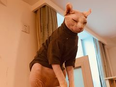 -Longchamp(佛罗伦萨小镇奥特莱斯店)