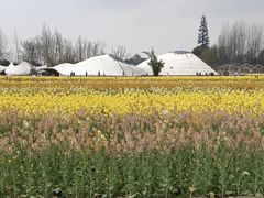 -中国天府农业博览园