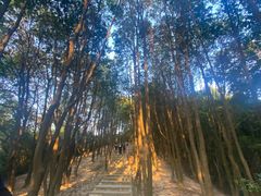 -火炉山森林公园