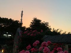 -清湖文化公园