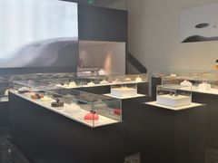 -BLACKSWAN黑天鹅(环球店)