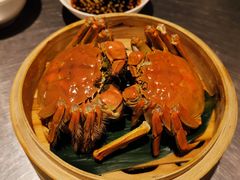-龙巢盱眙龙虾·牛蛙·烧烤宵夜(八卦岭店)