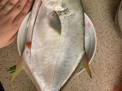 -鸿港海鲜批发市场