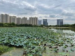 -诺贝尔湖公园