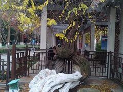 -郑和公园