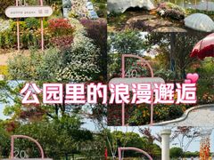-上海鲜花港