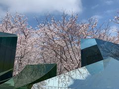 -龙美术馆(西岸馆)
