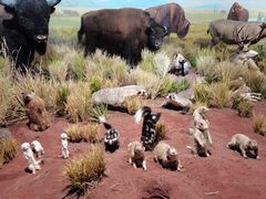 -陕西自然博物馆