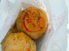 -真老大房鲜肉月饼(南京路步行街店)