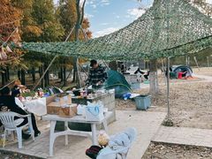 -上海长兴岛郊野公园