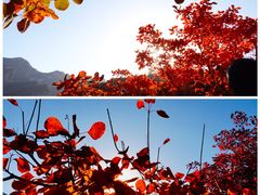 -周口店坡峰岭风景区