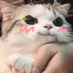 -凡碧诗毛孔收细