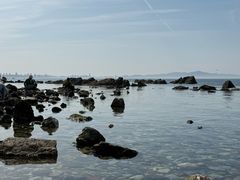 -养马岛旅游度假区