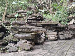 -水濂山森林公园