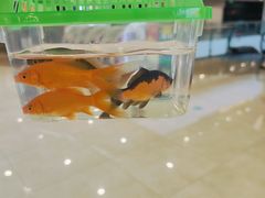 -风云再起游乐汇(南京常发广场店)