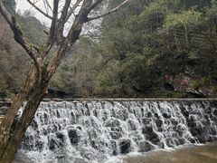 -石台牯牛降景区