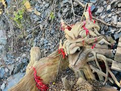 -凤凰山国家森林公园