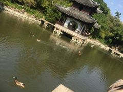-水绘园