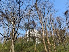 -上海佘山国家森林公园西佘山园