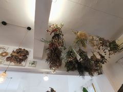 -知物癖(牛王庙店)