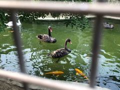 -水绘园