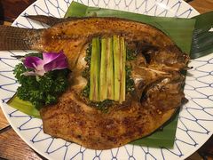 -紫滇源云南生态菜(丹凤街店)