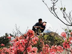 -木兰云雾山