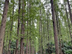 -上海怡沁园度假酒店