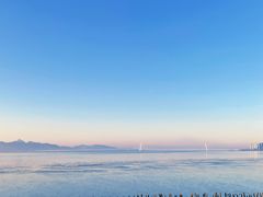 -深圳湾公园(南山区)