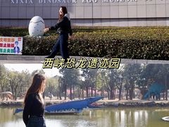 -中国西峡恐龙遗迹园