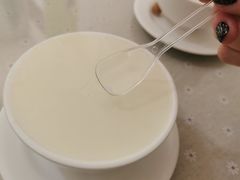 -老周记顺德双皮奶