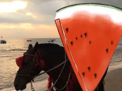 -西中岛海滨