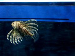 -福州罗源湾海洋世界旅游区