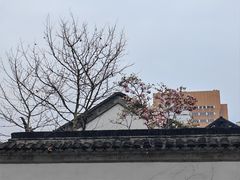 -江宁织造博物馆