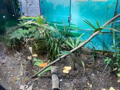 -上海大自然野生昆虫馆