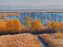 -野鸭湖国家湿地公园