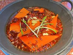 -赵美丽·重庆社区火锅·直营店(火车东站·中豪国际店)