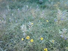 照片0691-月亮河温泉度假酒店