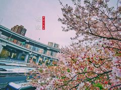 -上海南浦大桥长途旅游客运站