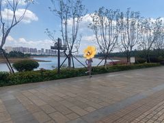 -安宁市宁湖森林公园