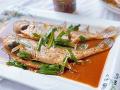 -宾朋海鲜饭庄(兴海路店)